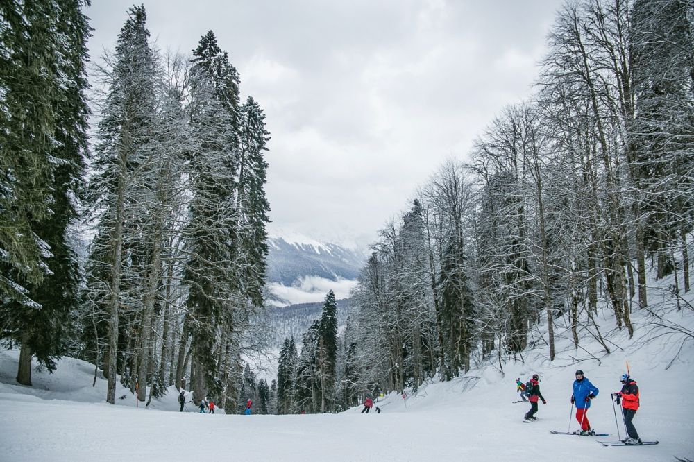 Långlopp skidor: En djupdykning i en populär vinteraktivitet